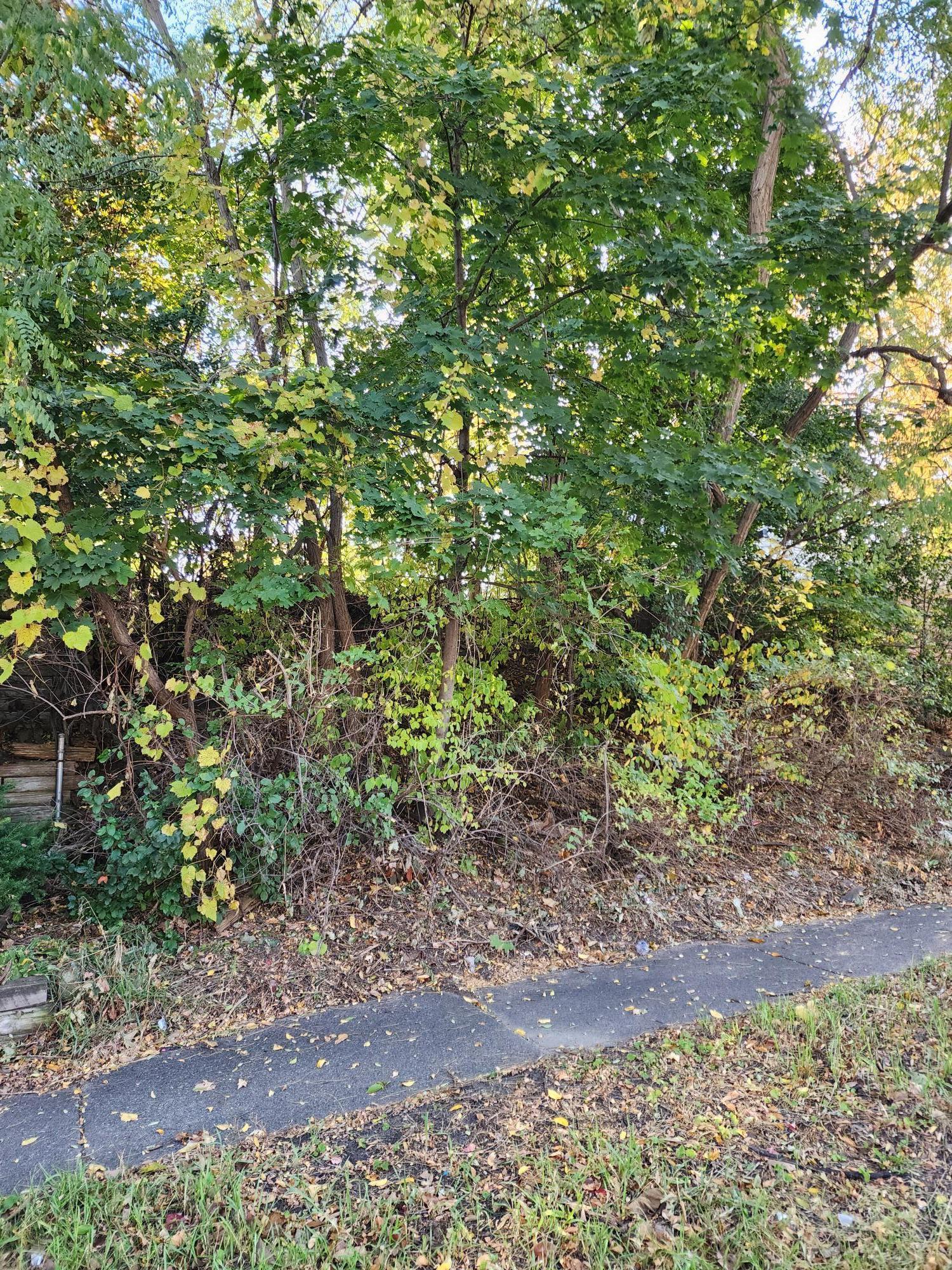 3718 North Lyndale Avenue Minneapolis, MN 55412 - Photo 5 of 5