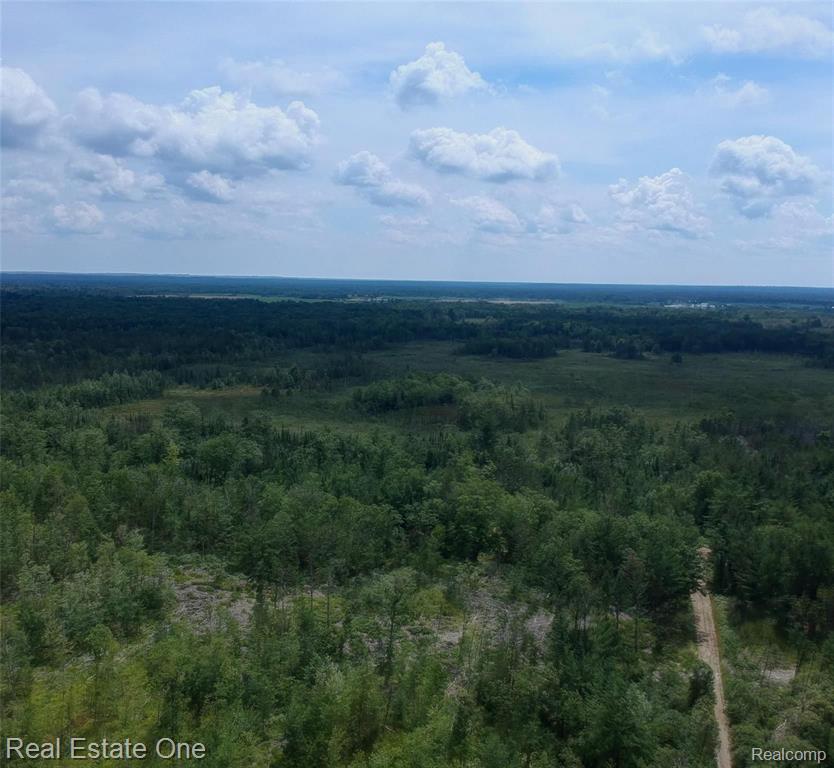 0 South Morrison Road West Branch, MI 48661 - Photo 17 of 38