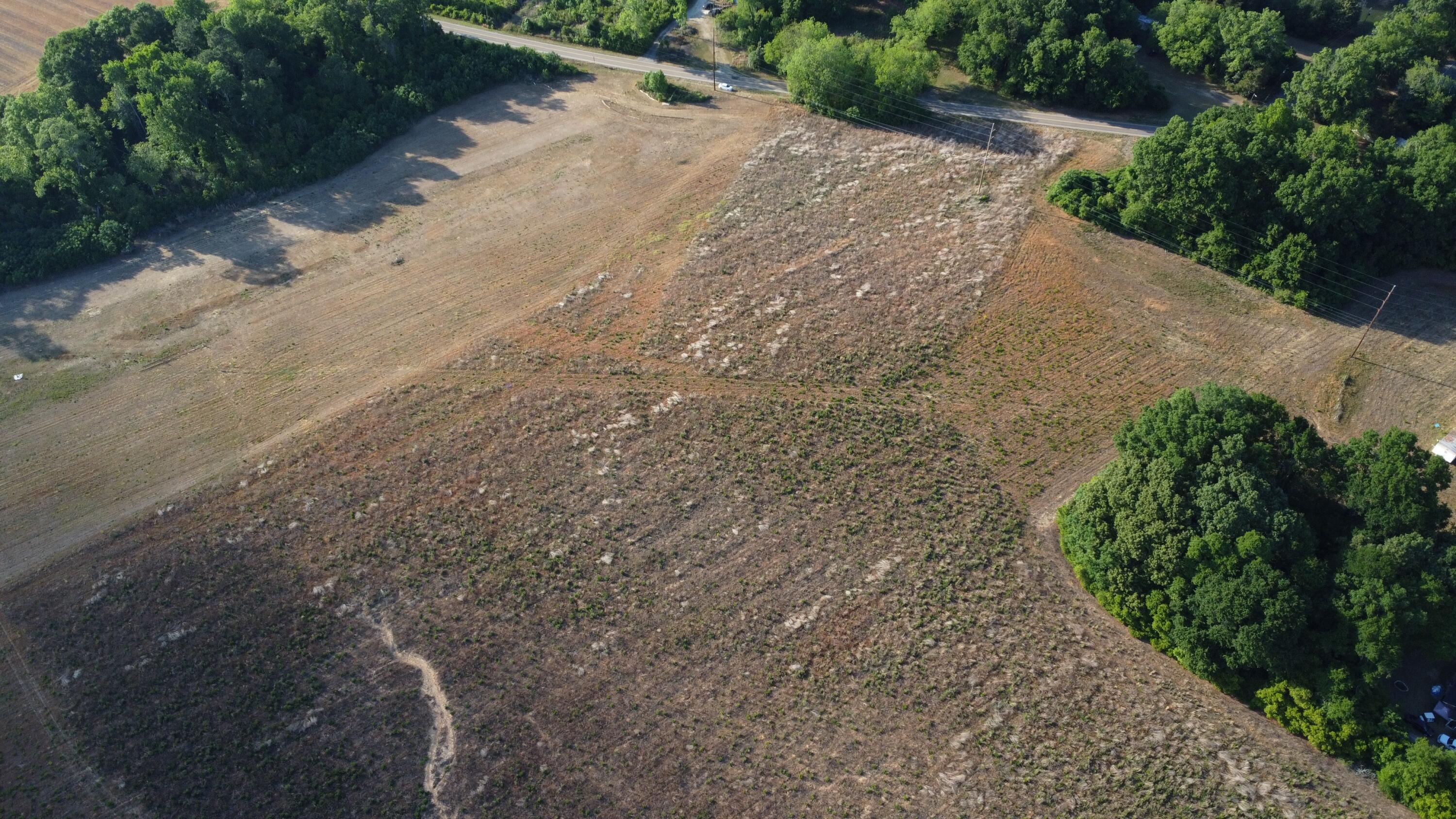 0 Rosemary Road Williston, SC 29853 - Photo 4 of 10