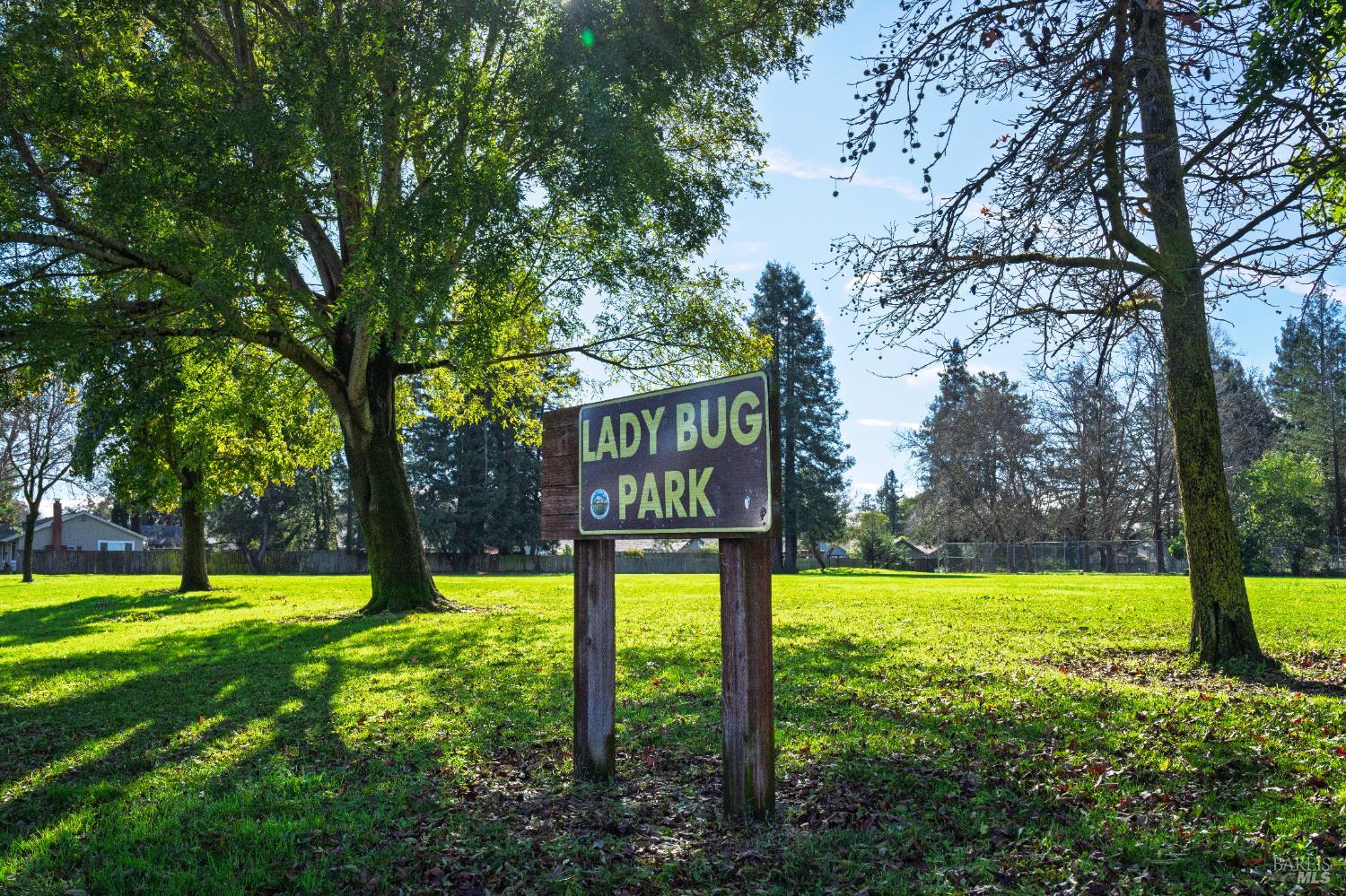 8633 Lancaster Drive Rohnert Park, CA 94928 - Photo 57 of 66 a view of a trees with a yard
