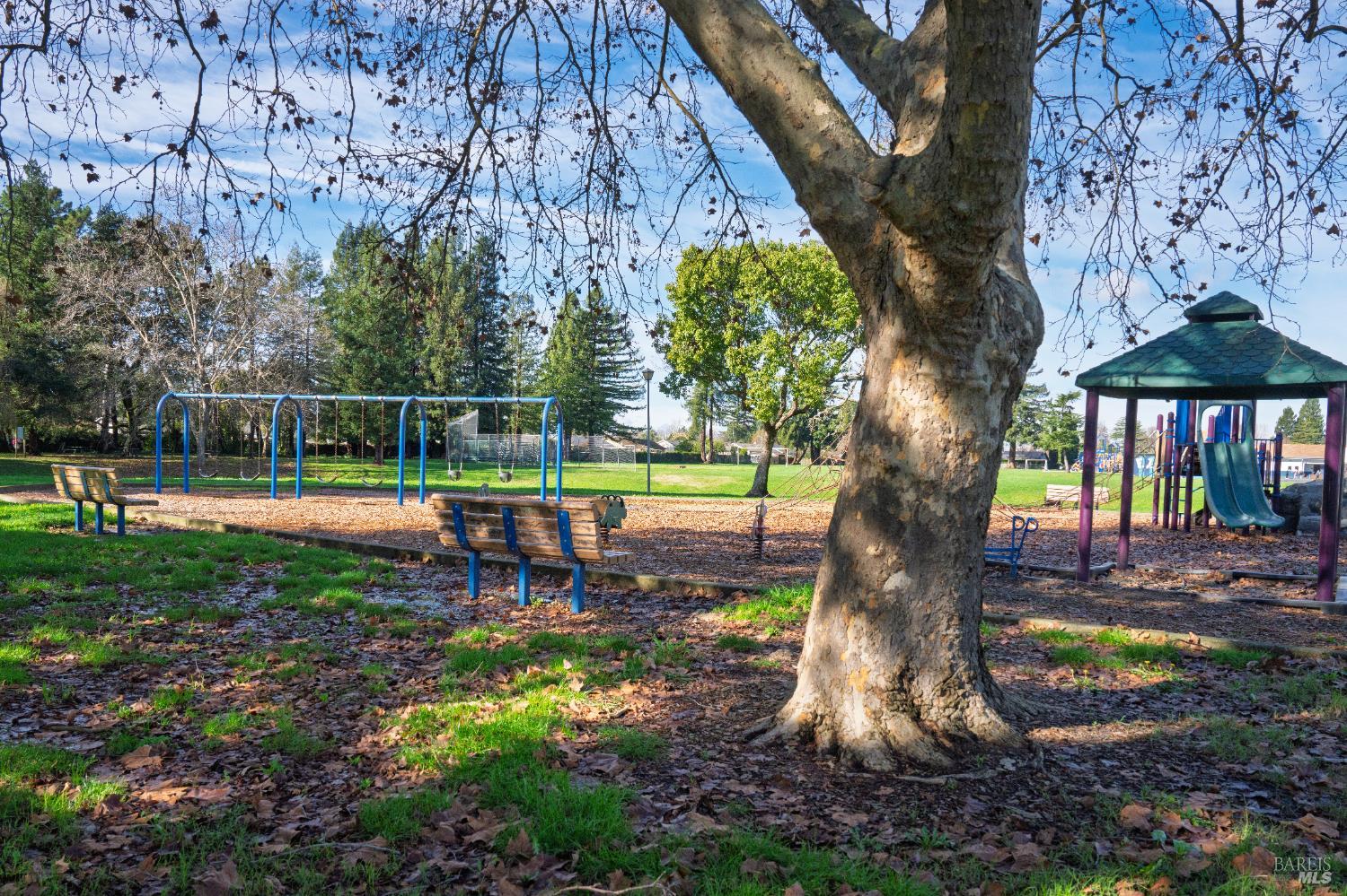 8633 Lancaster Drive Rohnert Park, CA 94928 - Photo 59 of 66 a view of a park with a slide