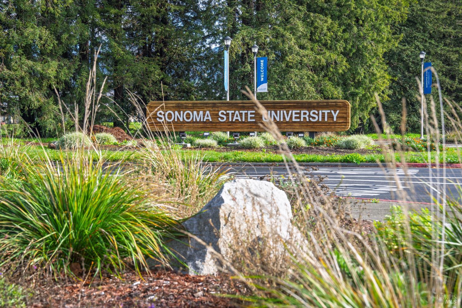 8633 Lancaster Drive Rohnert Park, CA 94928 - Photo 60 of 66 a sign on the side of a road