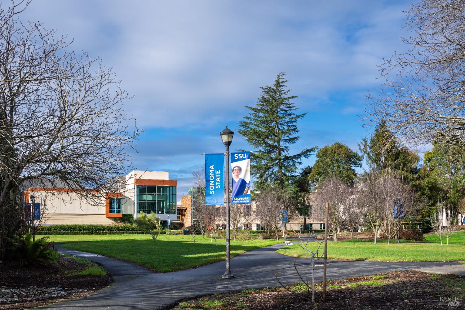 8633 Lancaster Drive Rohnert Park, CA 94928 - Photo 61 of 66 a front view of a building with trees