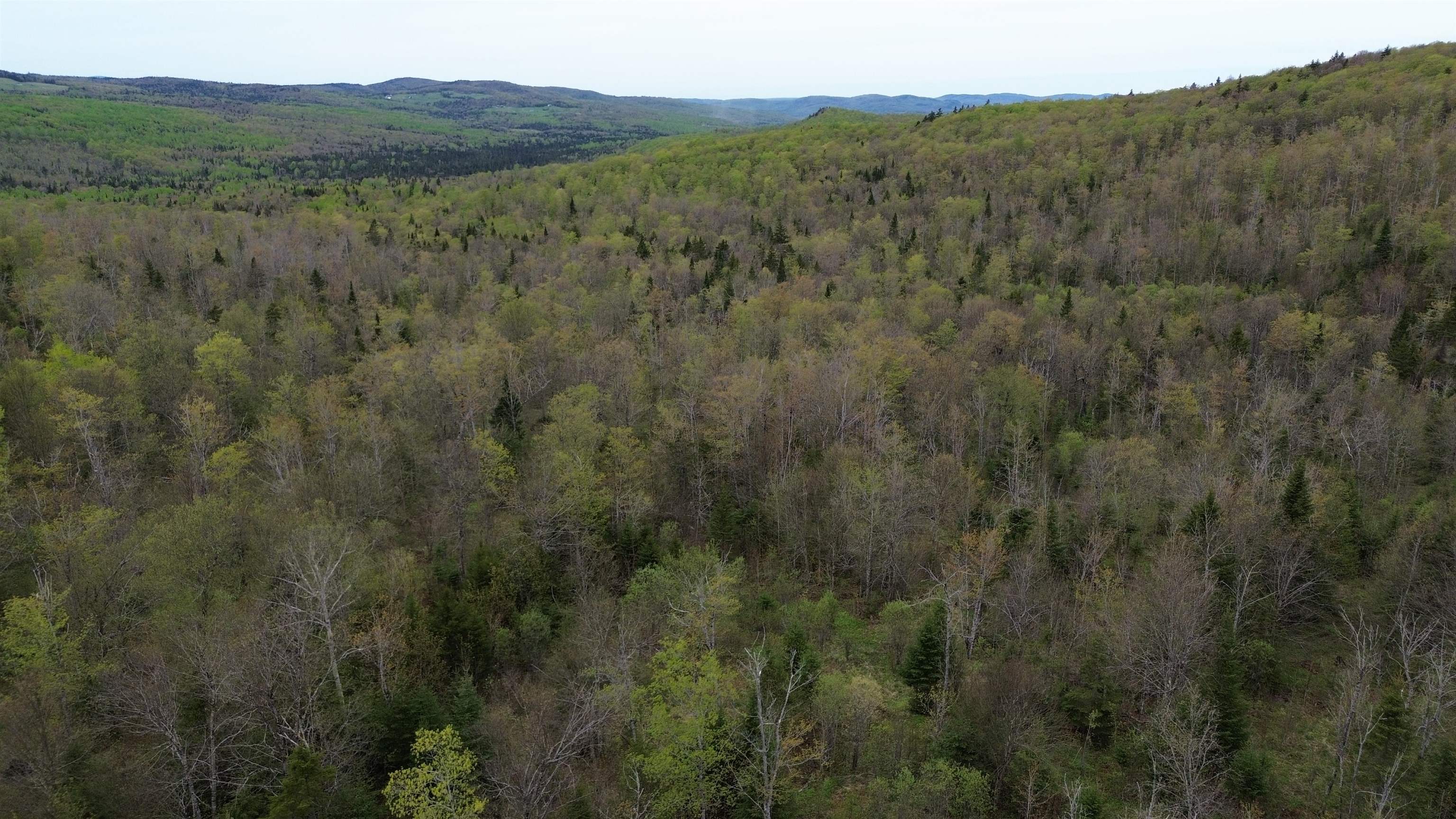 Mapb2-lot16 Dead Water Road Stewartstown, NH 03576 - Photo 28 of 31
