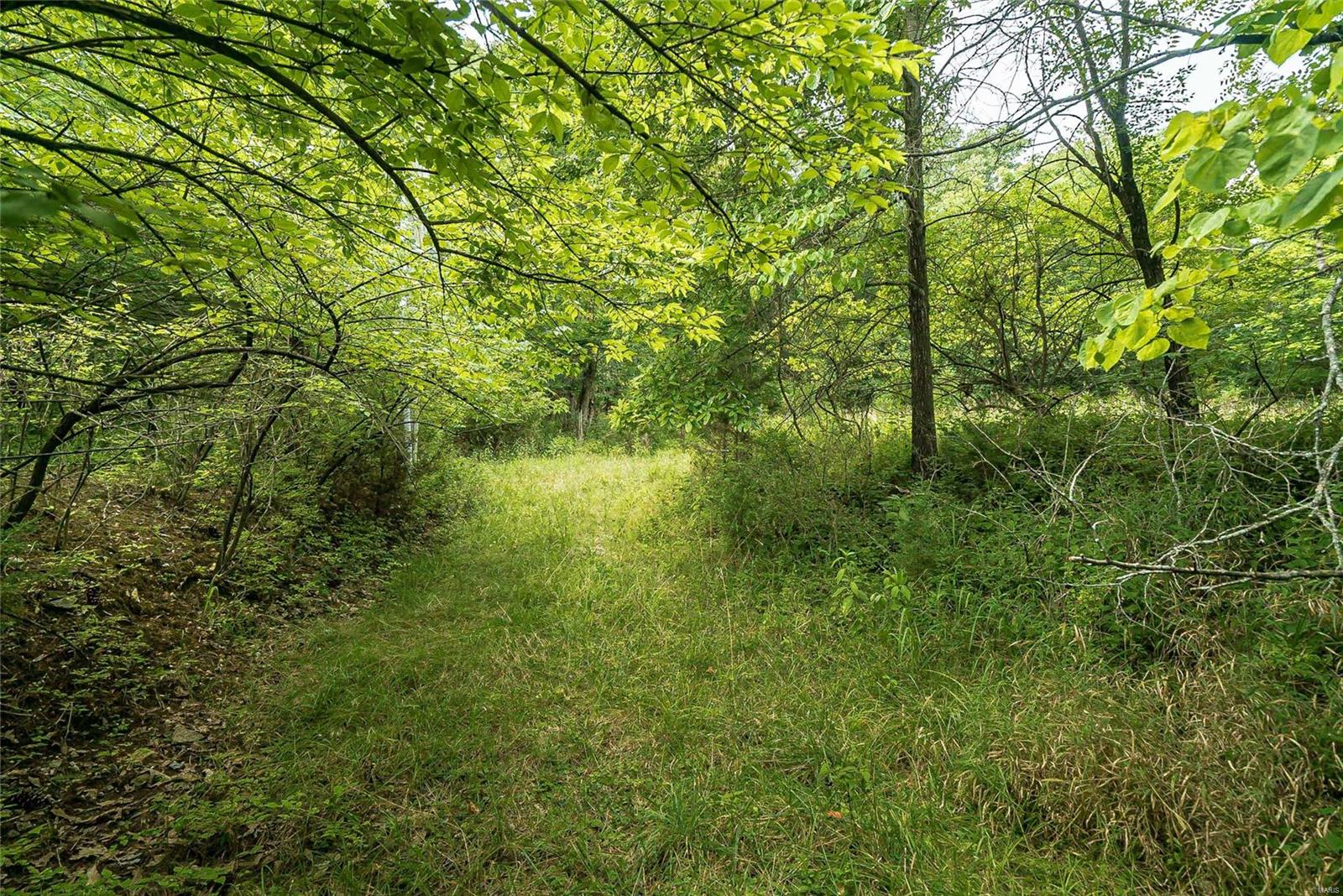 815 Strecker Road Ballwin, MO 63011 - Photo 13 of 40