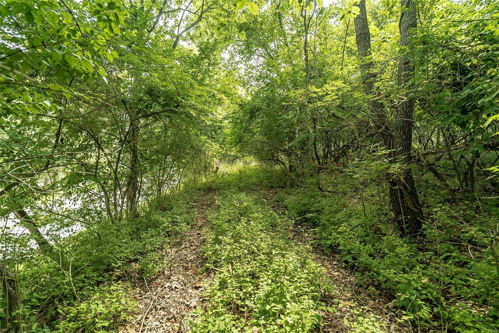 815 Strecker Road Ballwin, MO 63011 - Photo 15 of 40