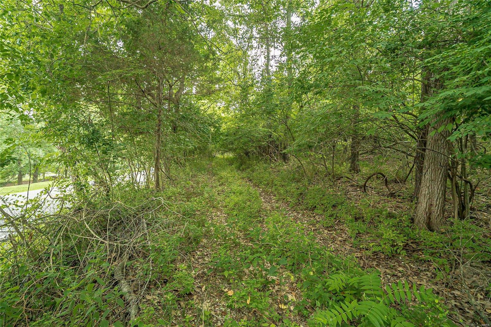 815 Strecker Road Ballwin, MO 63011 - Photo 16 of 40