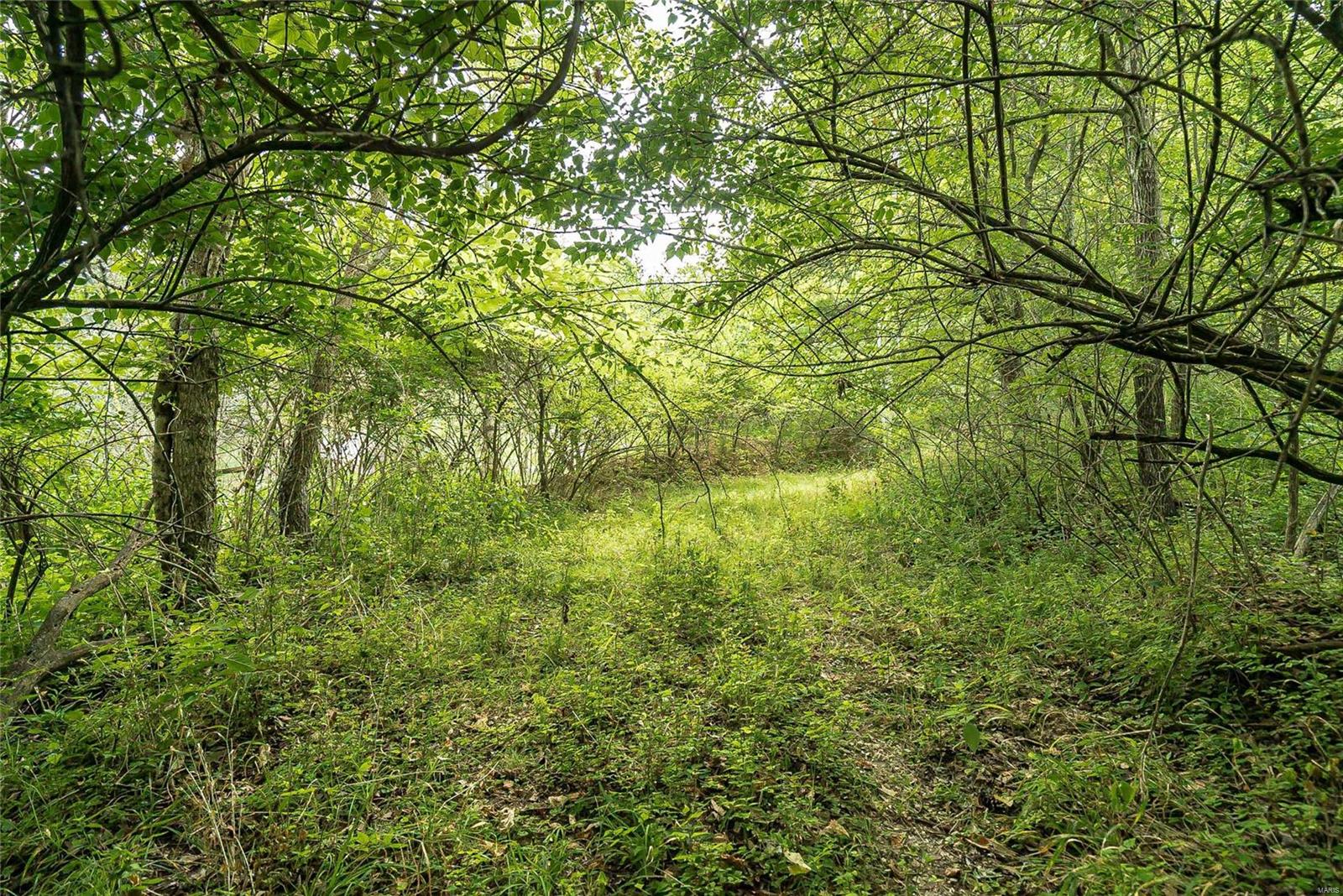 815 Strecker Road Ballwin, MO 63011 - Photo 17 of 40