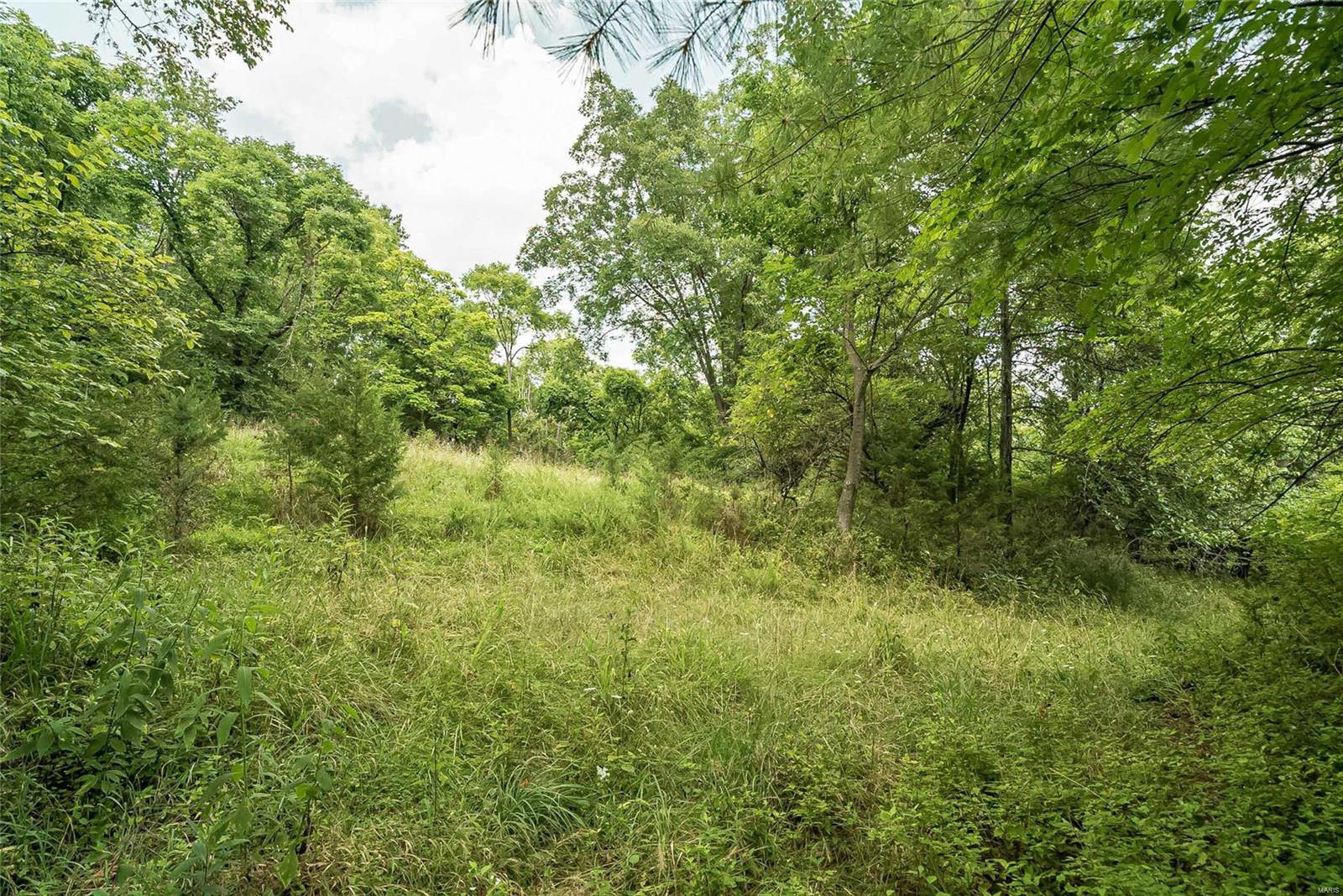 815 Strecker Road Ballwin, MO 63011 - Photo 18 of 40