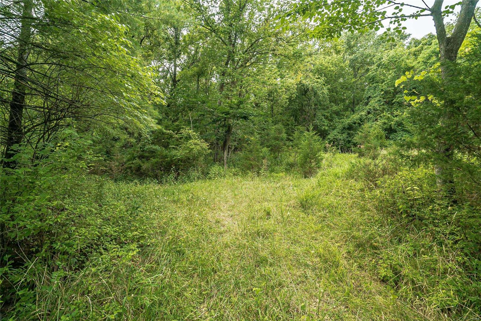 815 Strecker Road Ballwin, MO 63011 - Photo 4 of 40