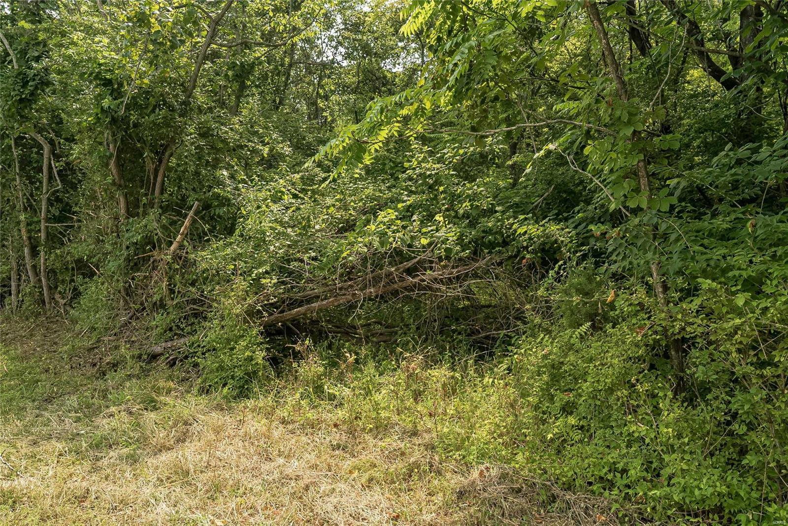 815 Strecker Road Ballwin, MO 63011 - Photo 38 of 40