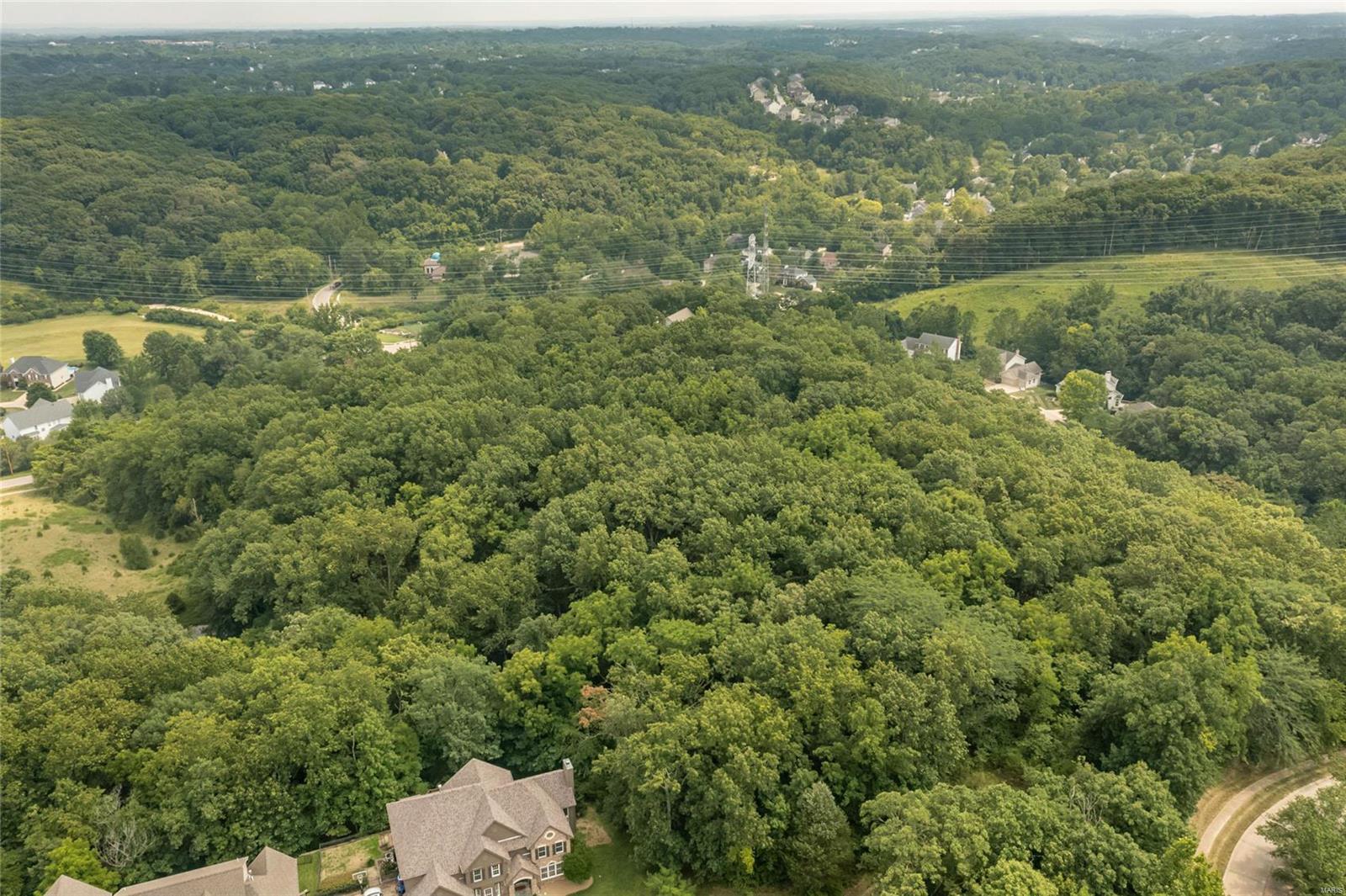 815 Strecker Road Ballwin, MO 63011 - Photo 7 of 40