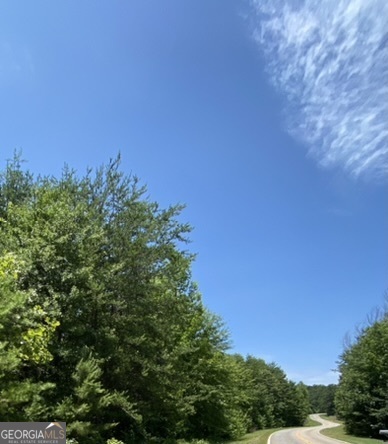 0 Damascus Road Homer, GA 30547 - Photo 1 of 1 a view of a green field