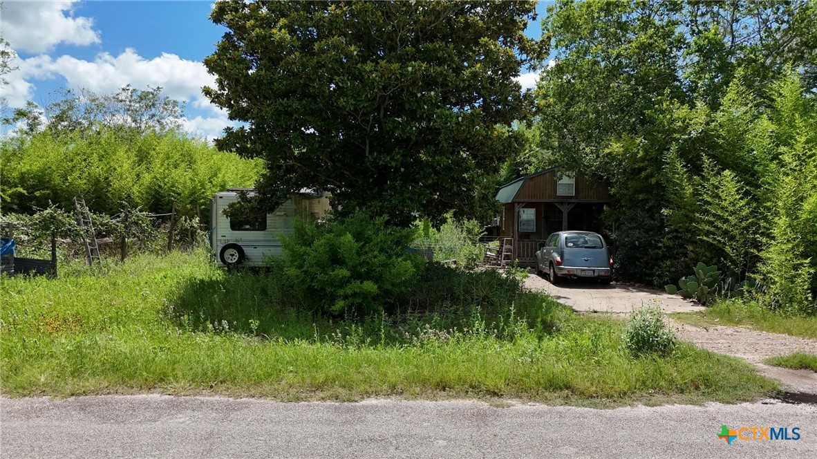 340 Cypress Valley Road Cuero, TX 77954 - Photo 4 of 23 a backyard of a house with lots of green space