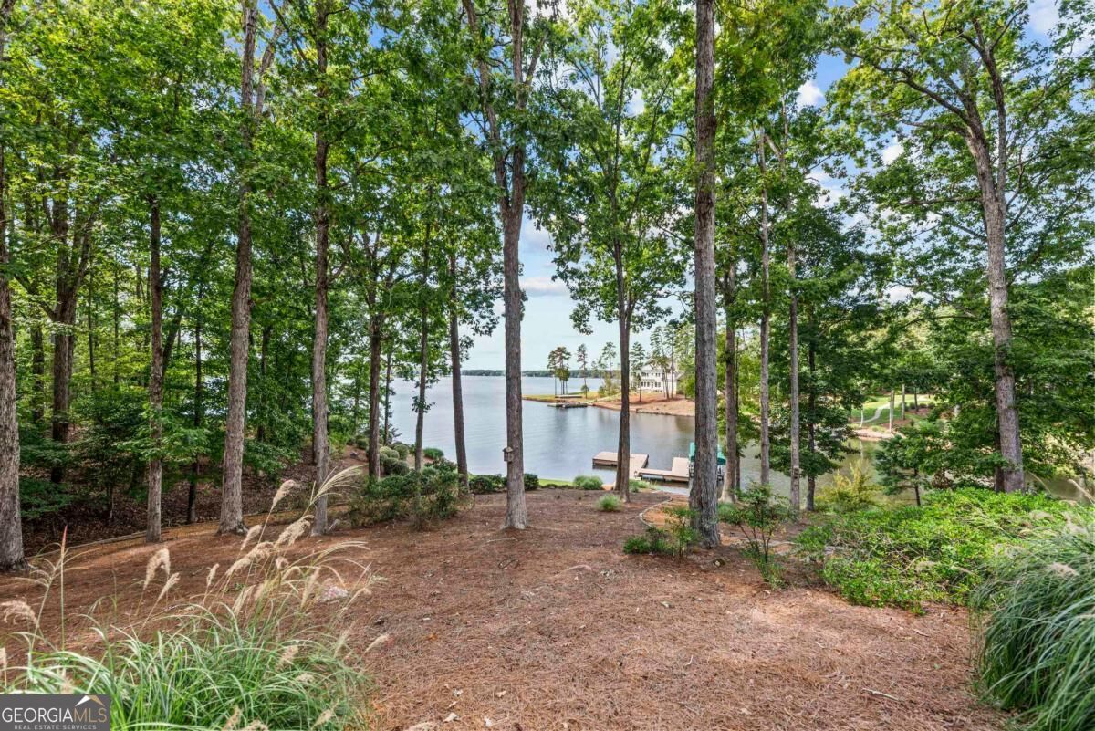 1041 Ruths Way Greensboro, GA 30642 - Photo 63 of 63 Gallery Image 63