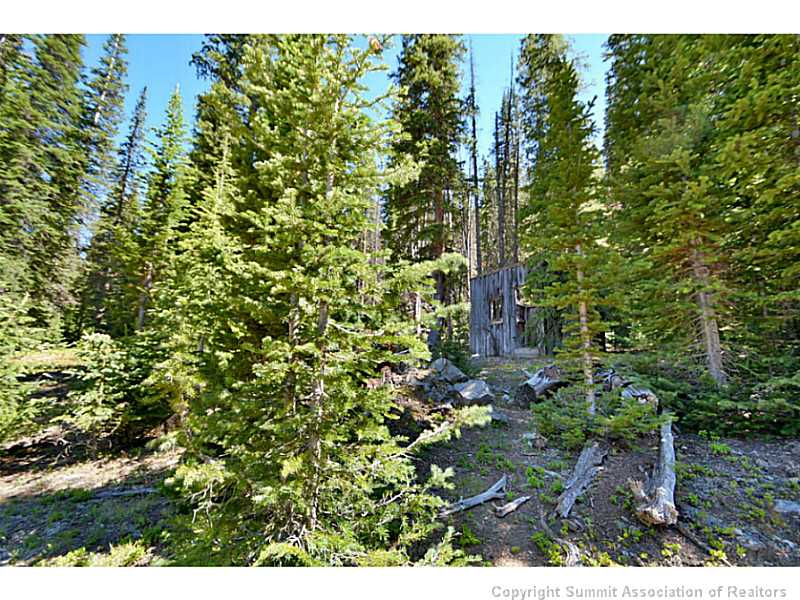 100 Scr 275 Road Dillon, CO 80435 - Photo 10 of 22 Land/Lot.