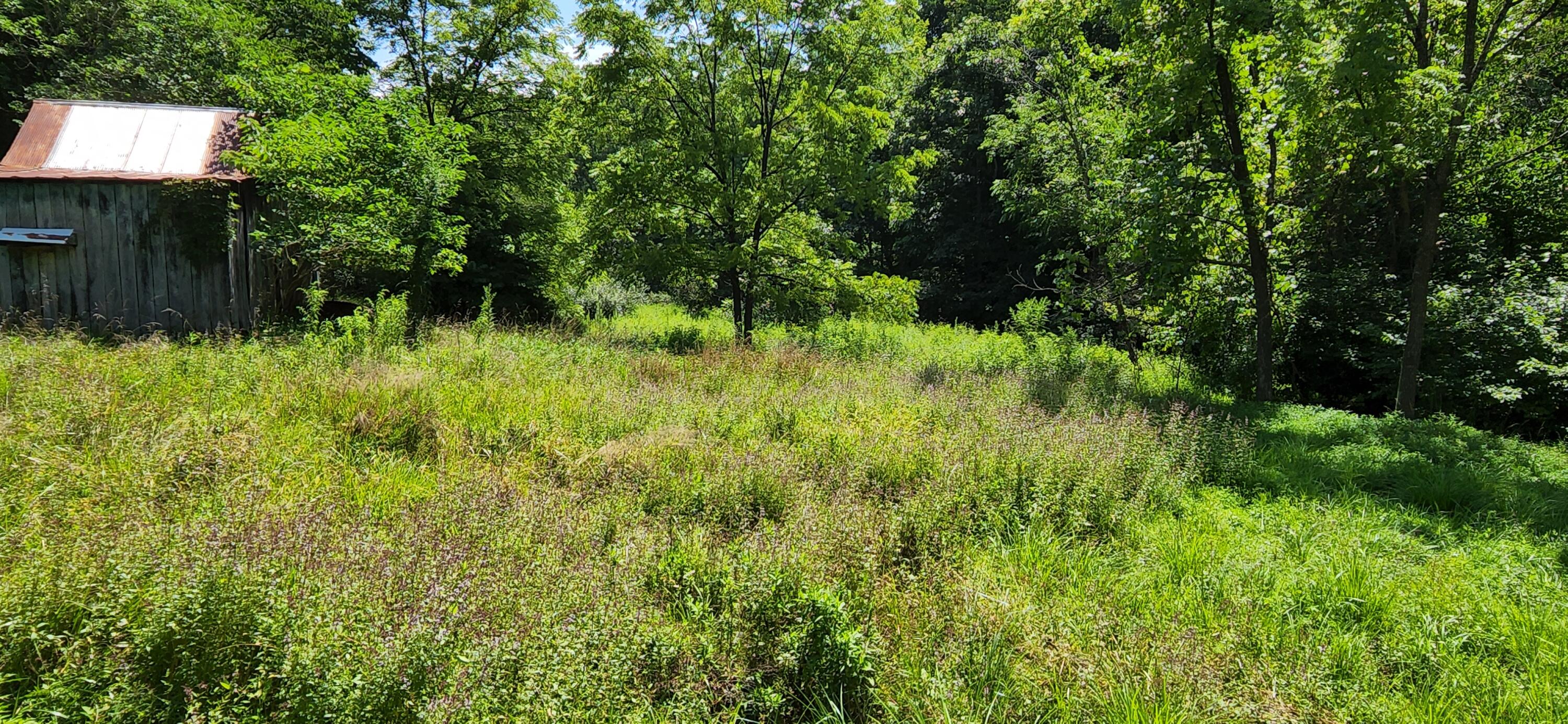 6100 Fork Mountain Road Rocky Mount, VA 24151 - Photo 19 of 24 20 Property