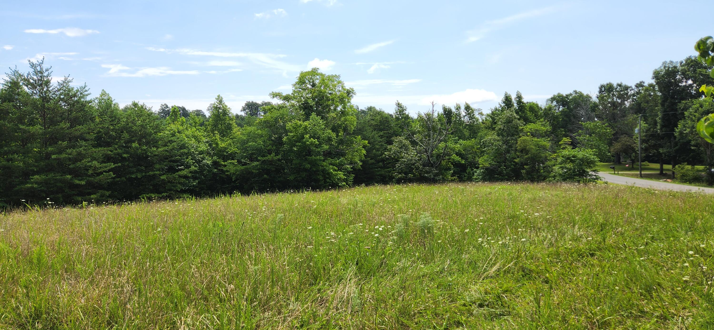 6100 Fork Mountain Road Rocky Mount, VA 24151 - Photo 2 of 24 3 Property
