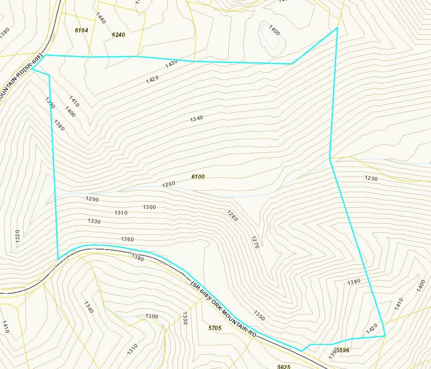 6100 Fork Mountain Road Rocky Mount, VA 24151 - Photo 23 of 24 GIS Aerial 1