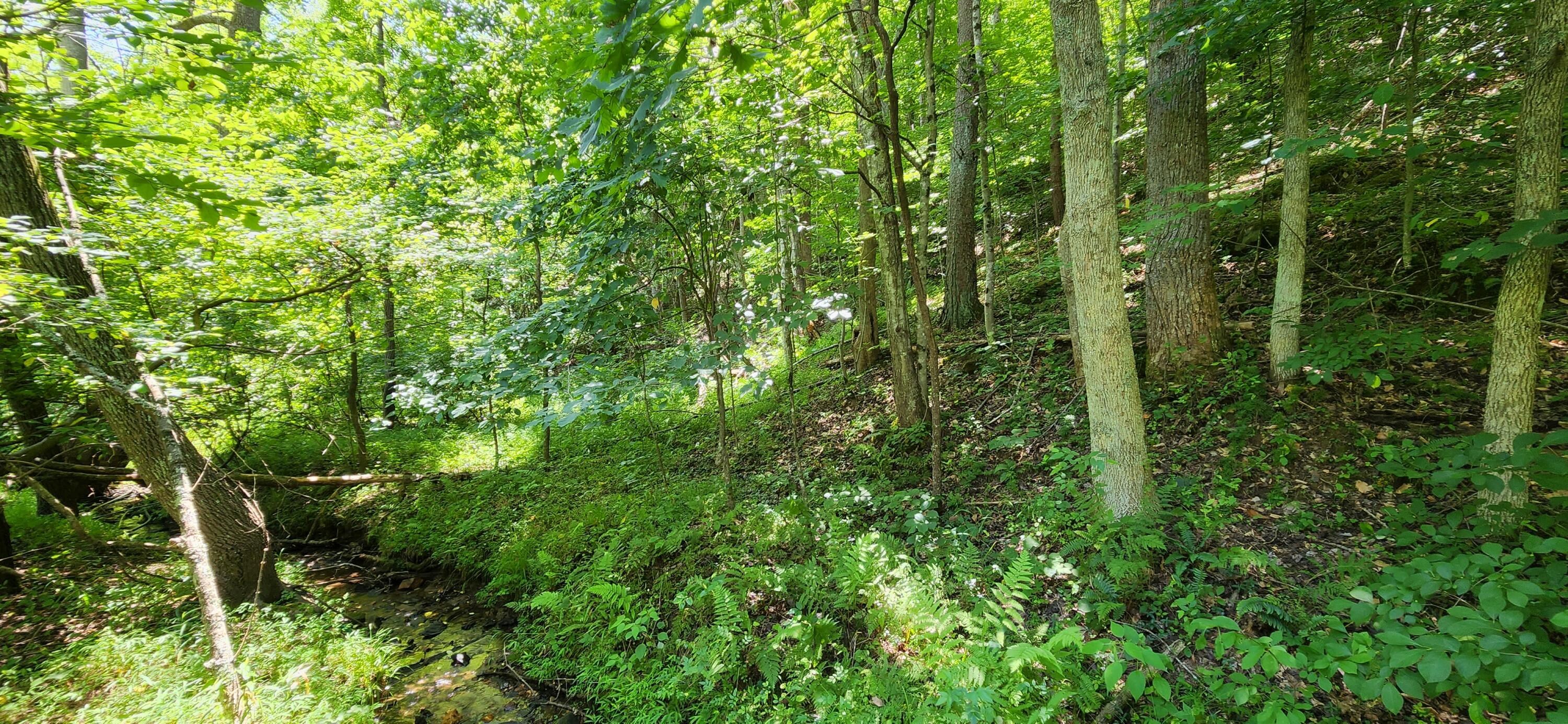 6100 Fork Mountain Road Rocky Mount, VA 24151 - Photo 3 of 24 4 Property