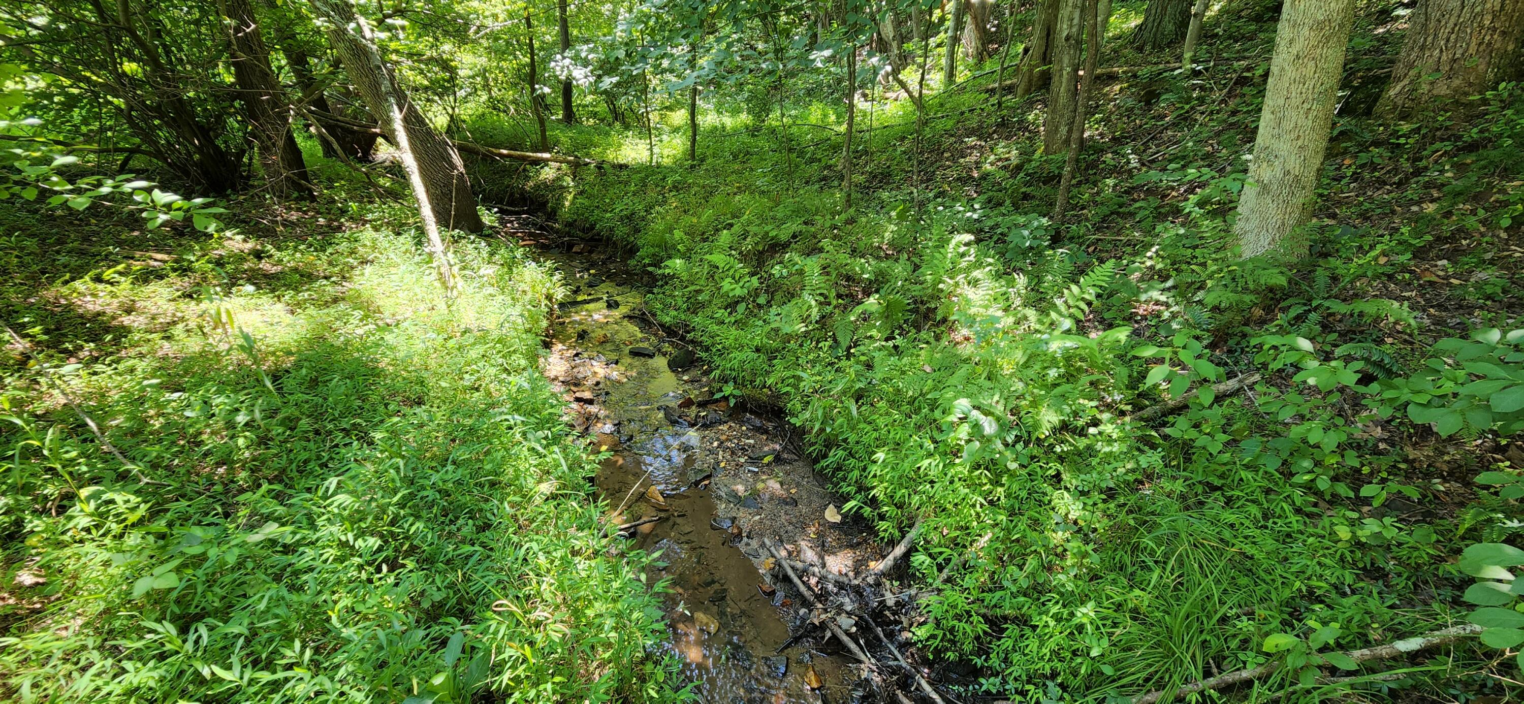 6100 Fork Mountain Road Rocky Mount, VA 24151 - Photo 4 of 24 5 Property