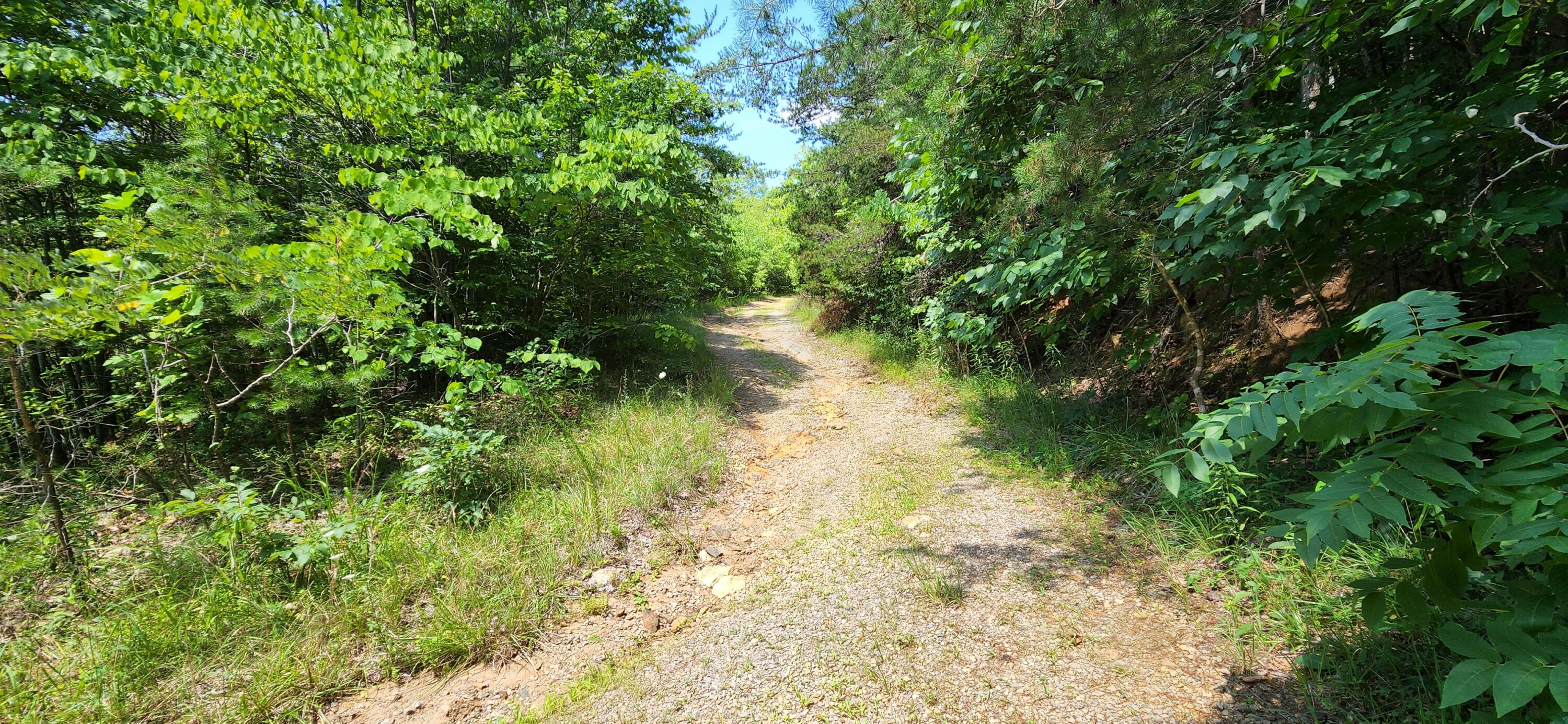 6100 Fork Mountain Road Rocky Mount, VA 24151 - Photo 5 of 24 6 Property