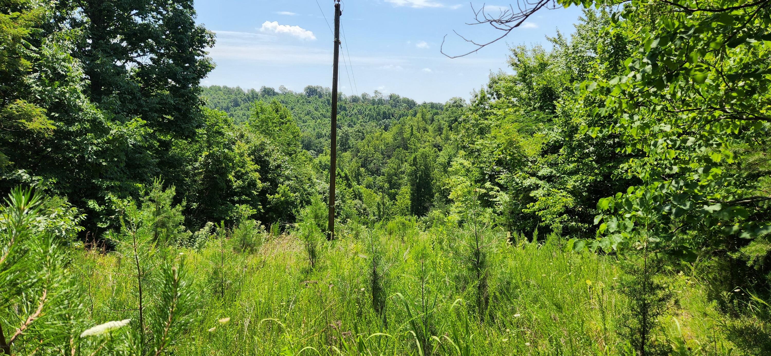 6100 Fork Mountain Road Rocky Mount, VA 24151 - Photo 6 of 24 7 Property