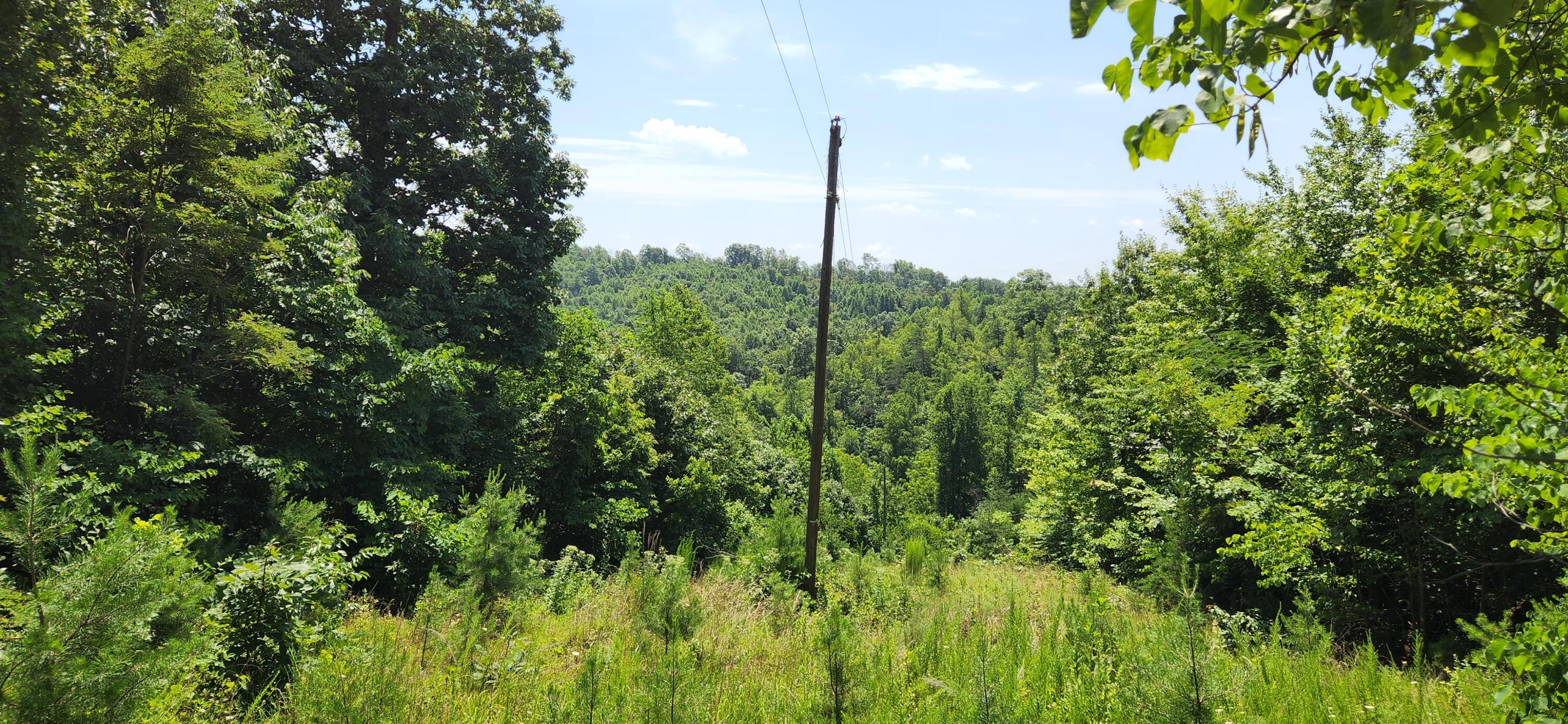 6100 Fork Mountain Road Rocky Mount, VA 24151 - Photo 7 of 24 8 Property
