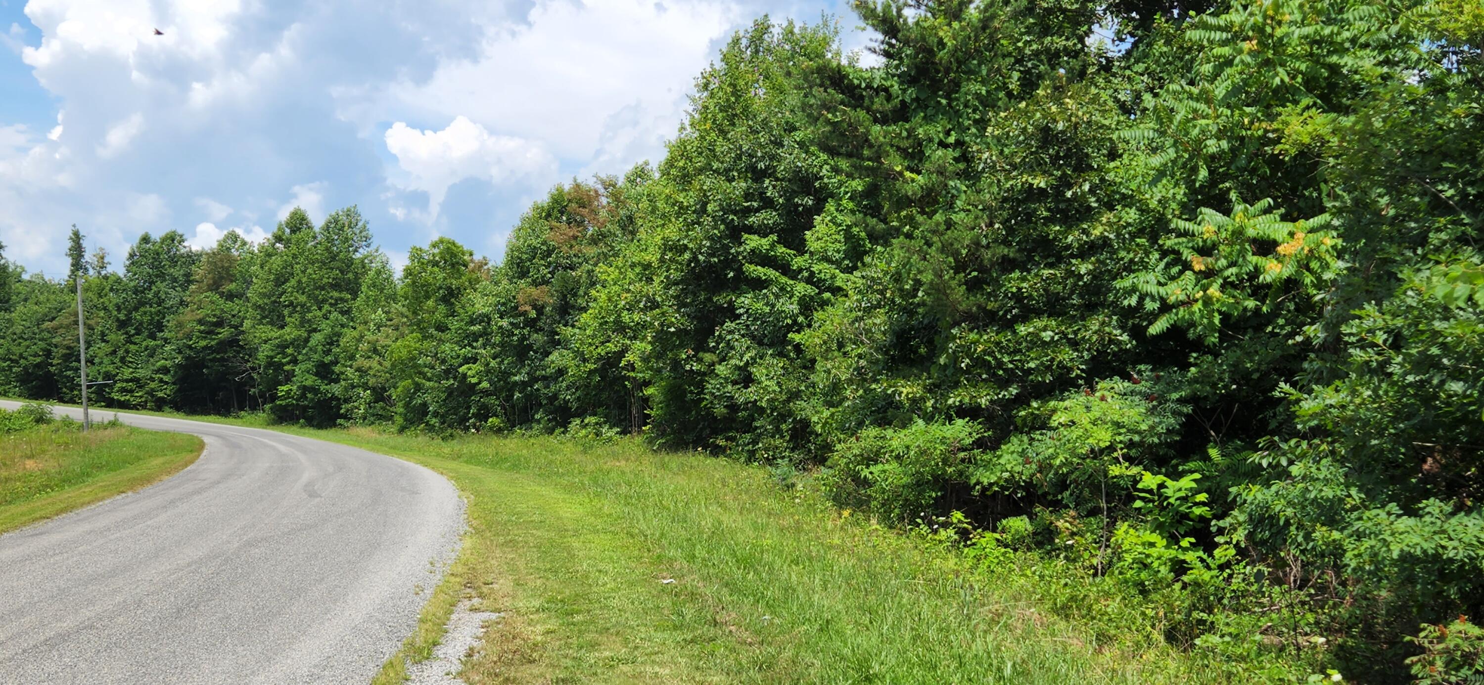 6100 Fork Mountain Road Rocky Mount, VA 24151 - Photo 9 of 24 10 Property