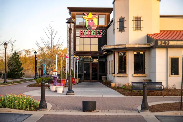 a view of a park with large trees