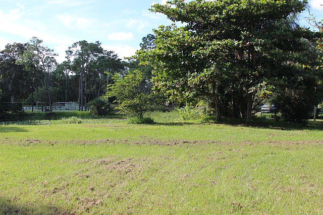 12666 N Road Loxahatchee, FL 33470 - Photo 7 of 10 pond