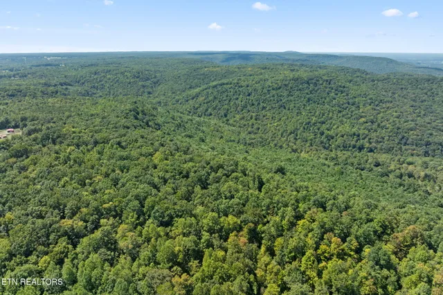$429,998 | 158-ac 158-ac Lick Hollow Branch, Spencer, TN 38585