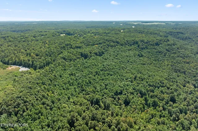 $429,998 | 158-ac 158-ac Lick Hollow Branch, Spencer, TN 38585