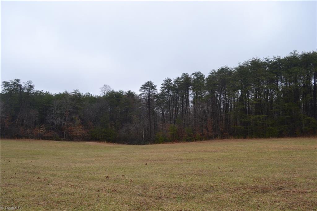 13-acres Martin Farm Road Madison, NC 27025 - Photo 2 of 5 Gallery Image 2