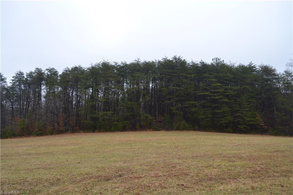 13-acres Martin Farm Road Madison, NC 27025 - Photo 3 of 5 Gallery Image 3