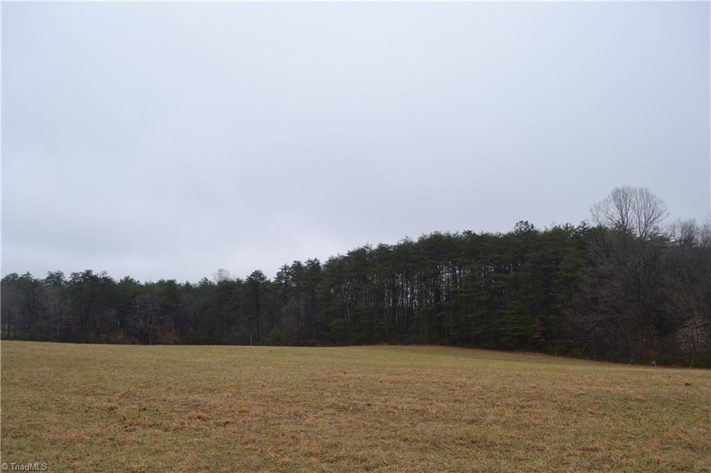 13-acres Martin Farm Road Madison, NC 27025 - Photo 4 of 5 Gallery Image 4