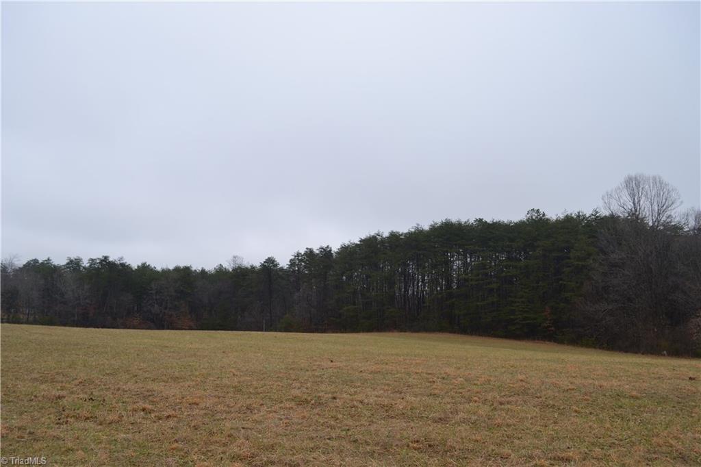 13-acres Martin Farm Road Madison, NC 27025 - Photo 5 of 5 Gallery Image 5