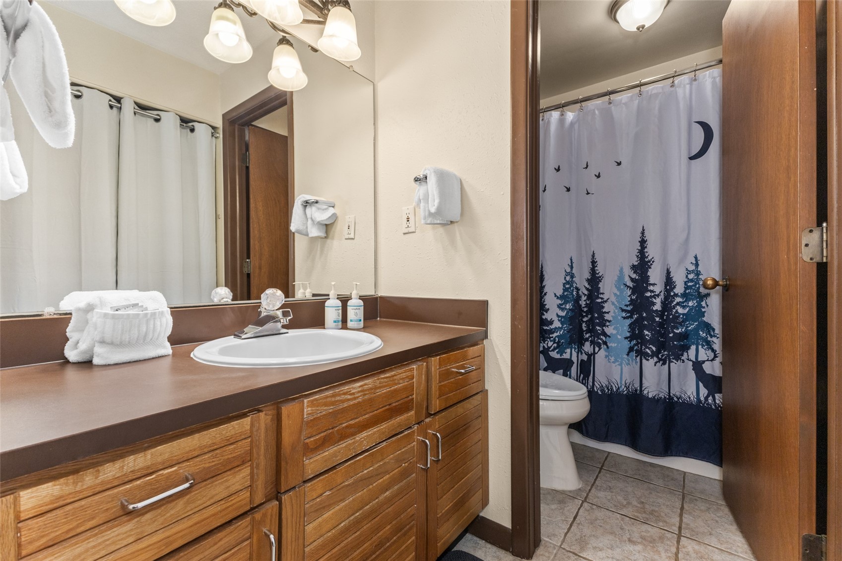 2025 Walton Creek Road, Unit 308 Steamboat Springs, CO 80487 - Photo 16 of 34 a bathroom with a sink a vanity and a mirror