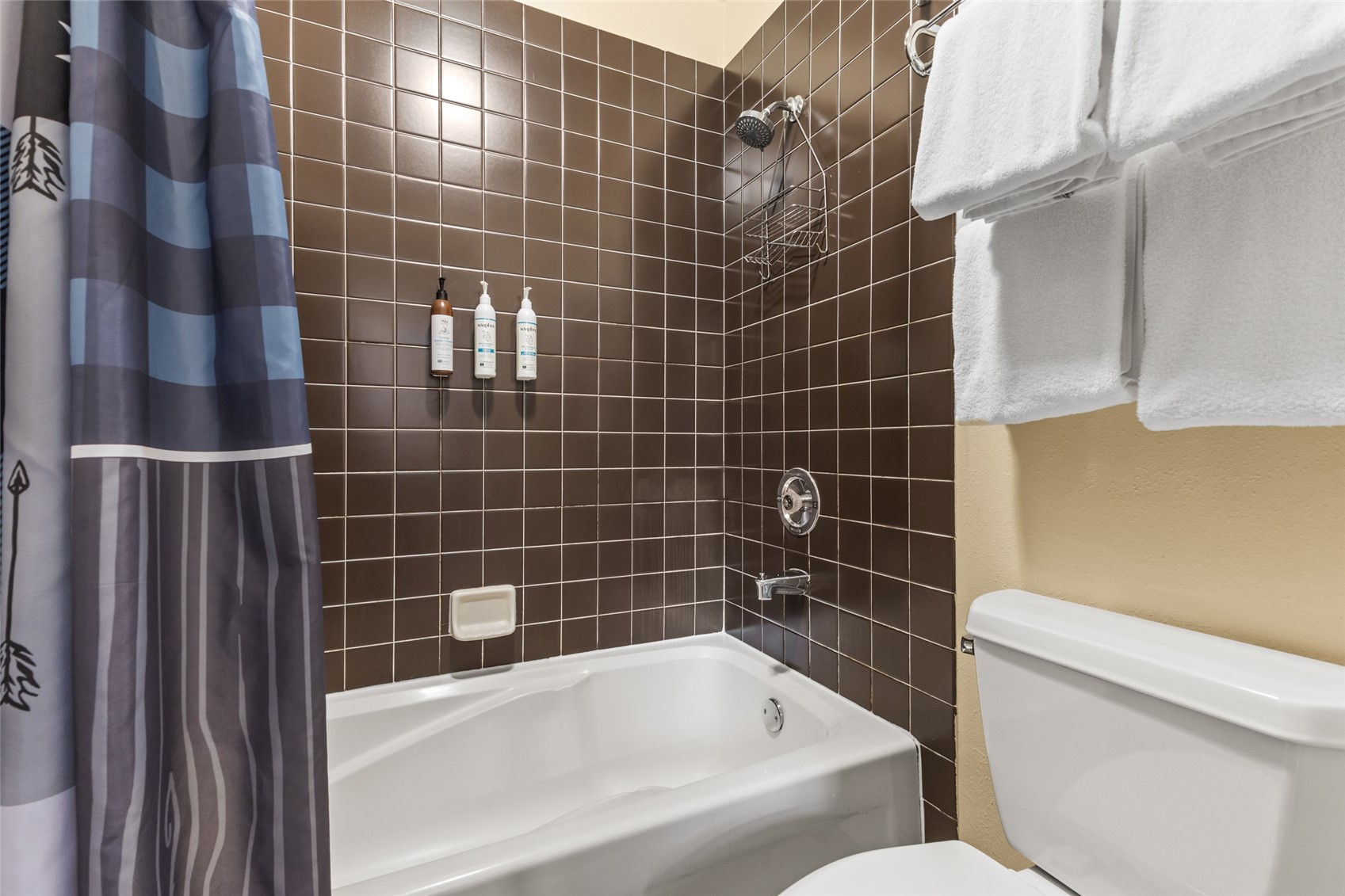 2025 Walton Creek Road, Unit 308 Steamboat Springs, CO 80487 - Photo 17 of 34 a bathroom with a bathtub and toilet