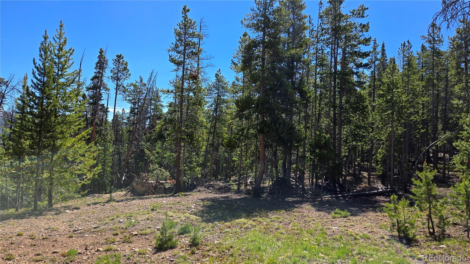 0 Summit Gulch Road Breckenridge, CO 80424 - Photo 16 of 31
