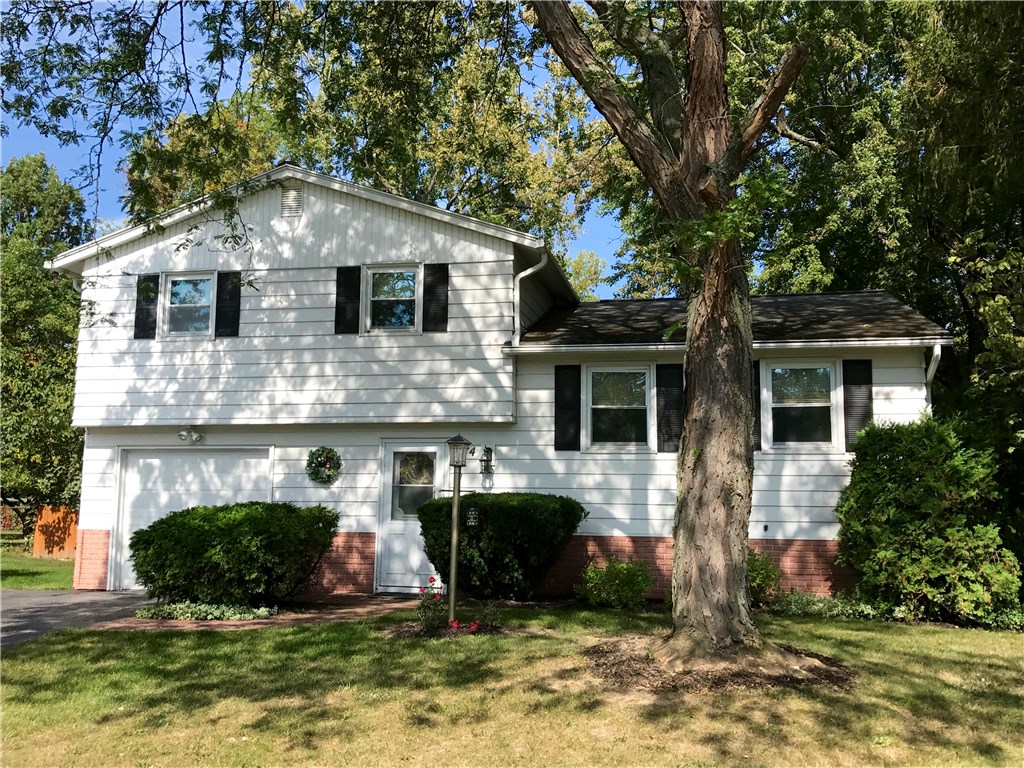Great neighborhood home in Spencerport School Dist