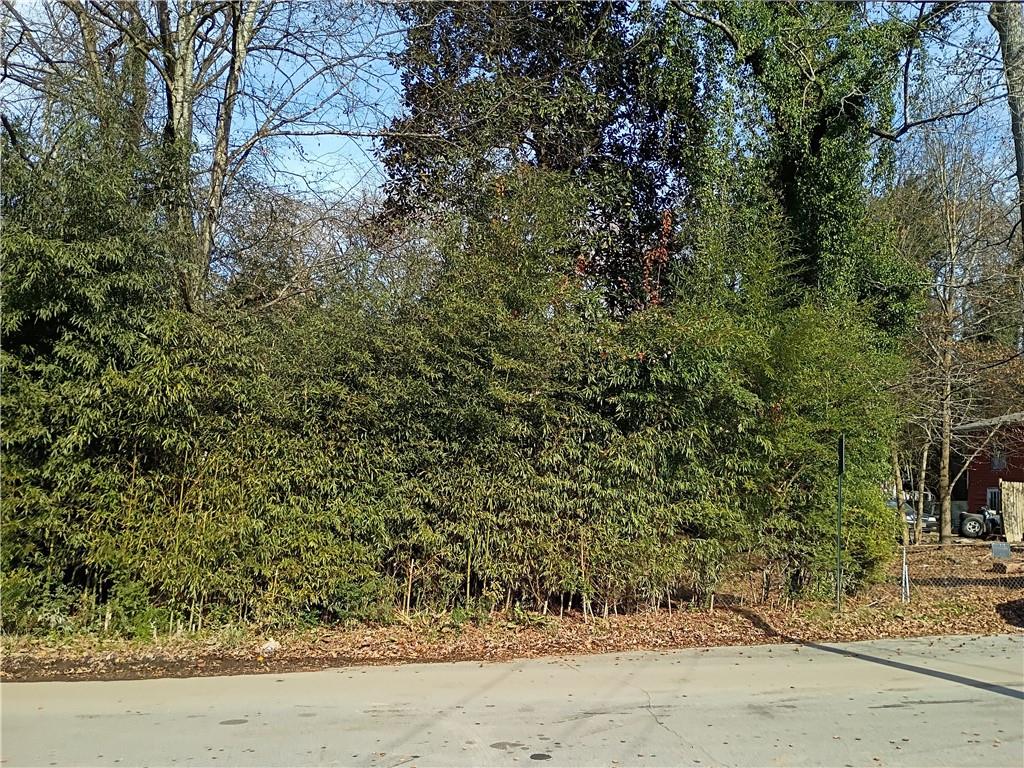 a view of a yard with plants and trees