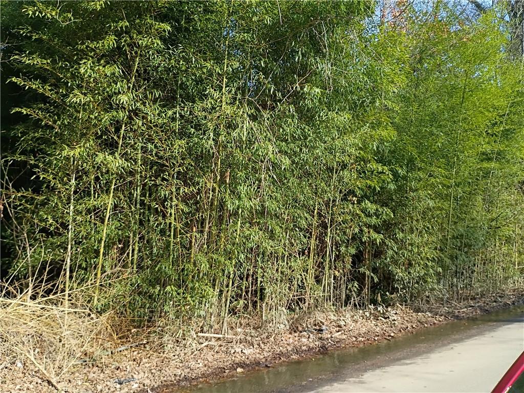 4131 Fairburn Avenue Southwest Atlanta, GA 30331 - Photo 2 of 3 a view of a yard