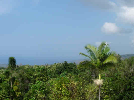 83-5329 Middle Keei Road Captain Cook, HI 96704 - Photo 3 of 25 Gallery Image 3