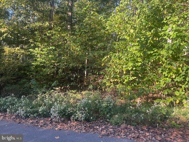 Steamboat Run Road Shepherdstown, WV 25443 - Photo 3 of 4