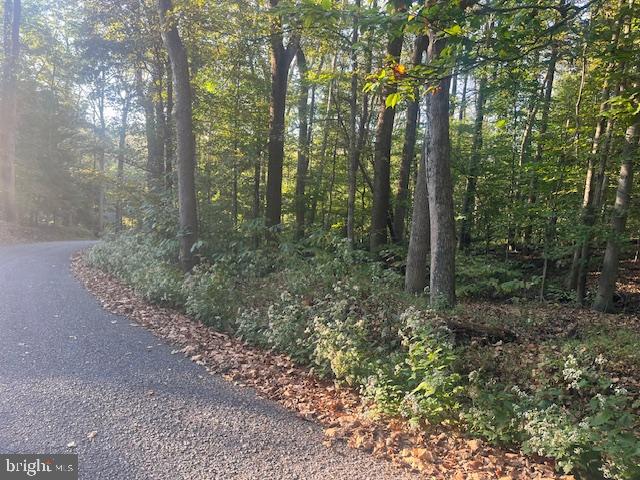 Steamboat Run Road Shepherdstown, WV 25443 - Photo 4 of 4