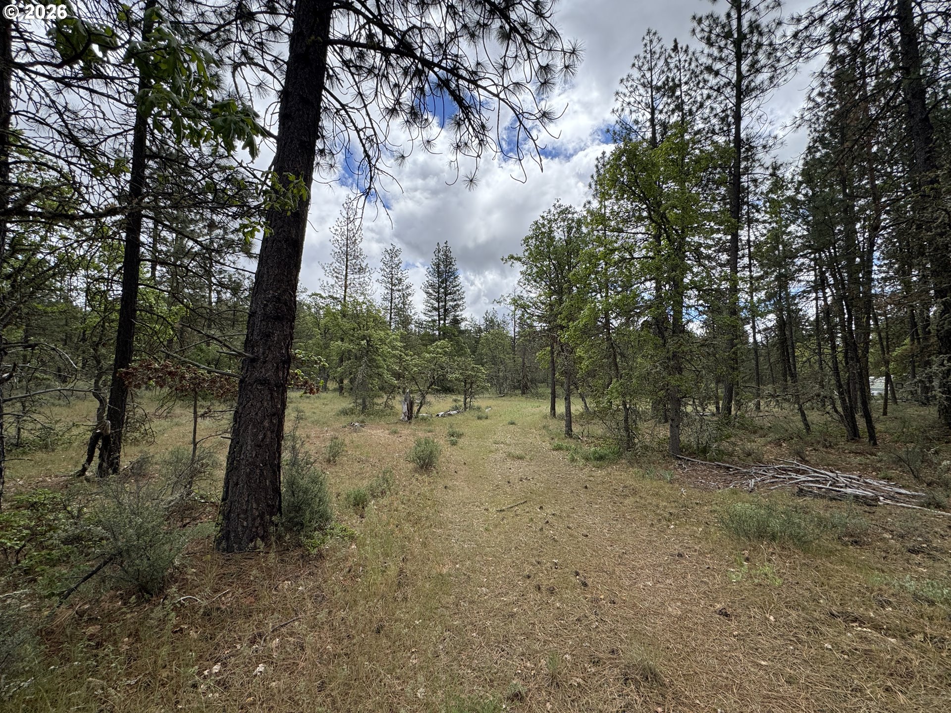 Old Mountain Road Goldendale, WA 98620 - Photo 15 of 41