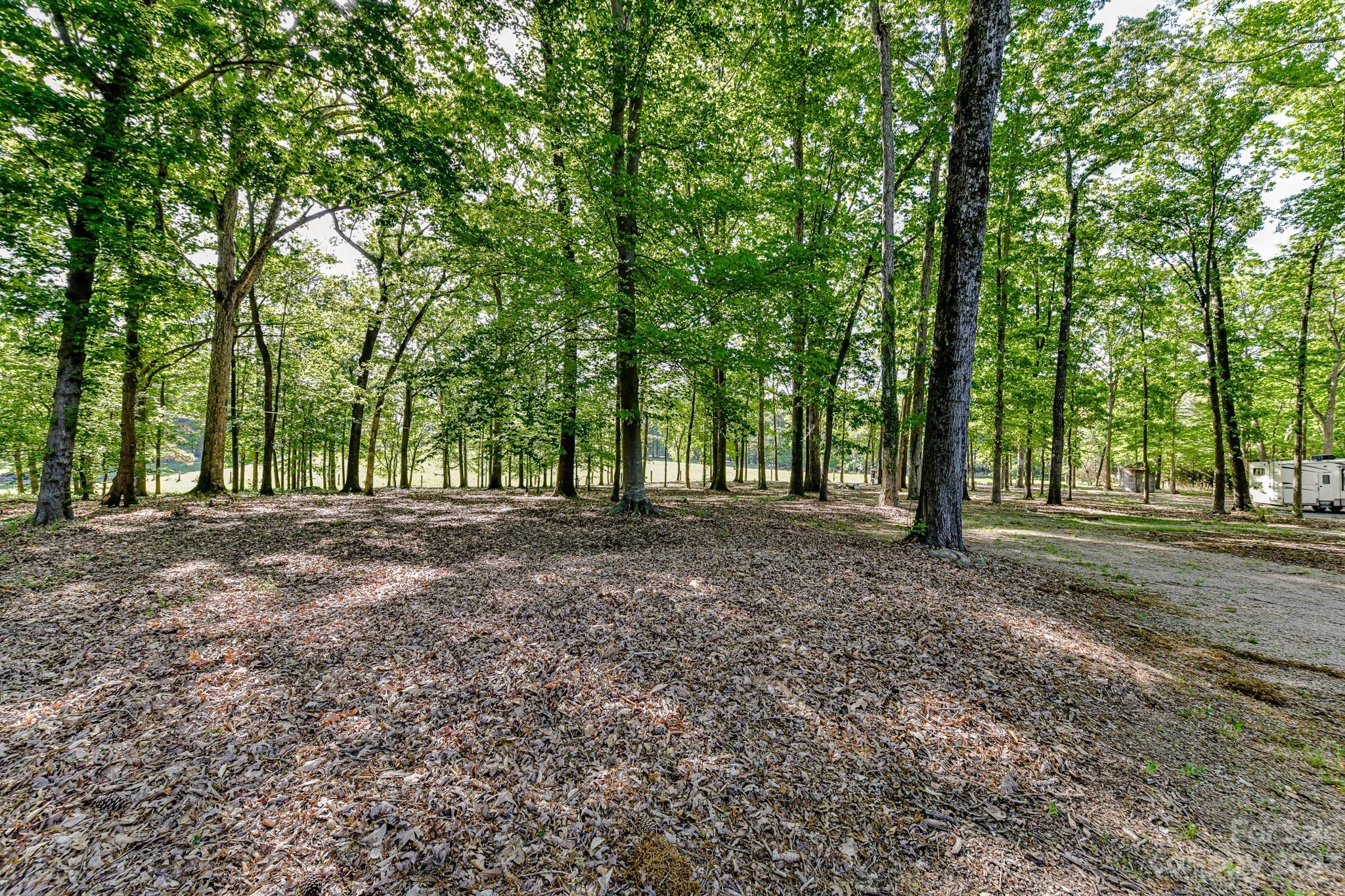 1050 Ben Black Road Midland, NC 28107 - Photo 34 of 48 a view of outdoor space and trees