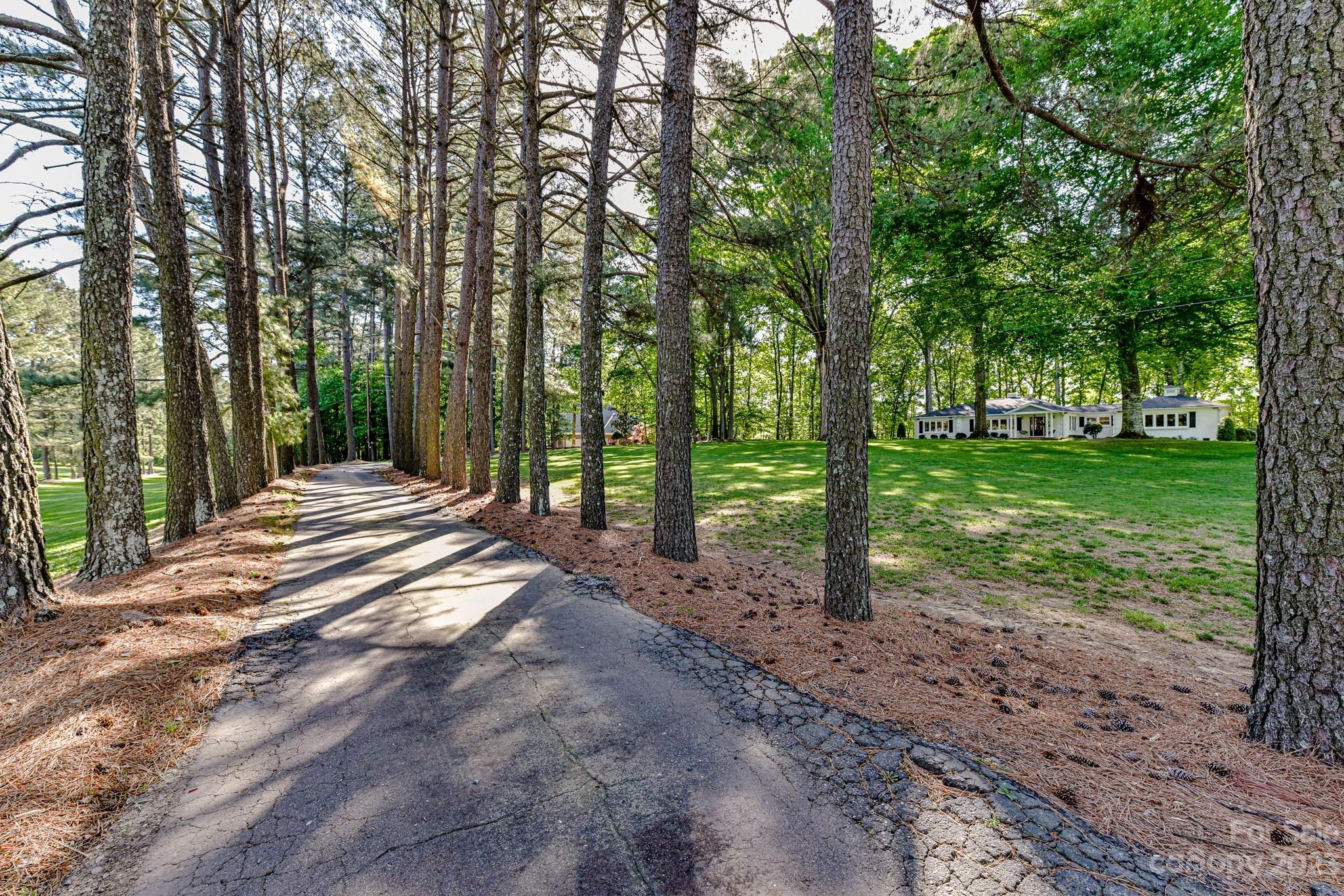 1050 Ben Black Road Midland, NC 28107 - Photo 41 of 48 a view of a backyard with trees