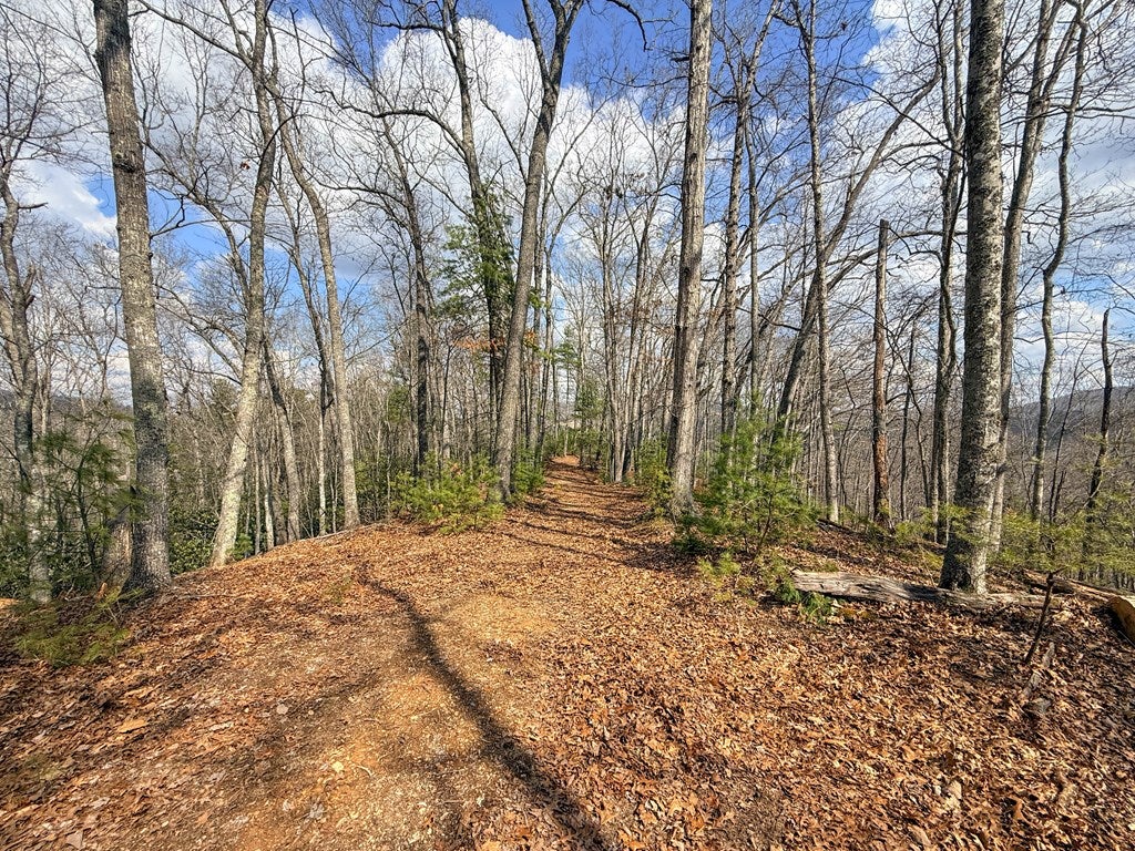 906 Scratch Gravel Road Max Meadows, VA 24360 - Photo 18 of 27 Gallery Image 18